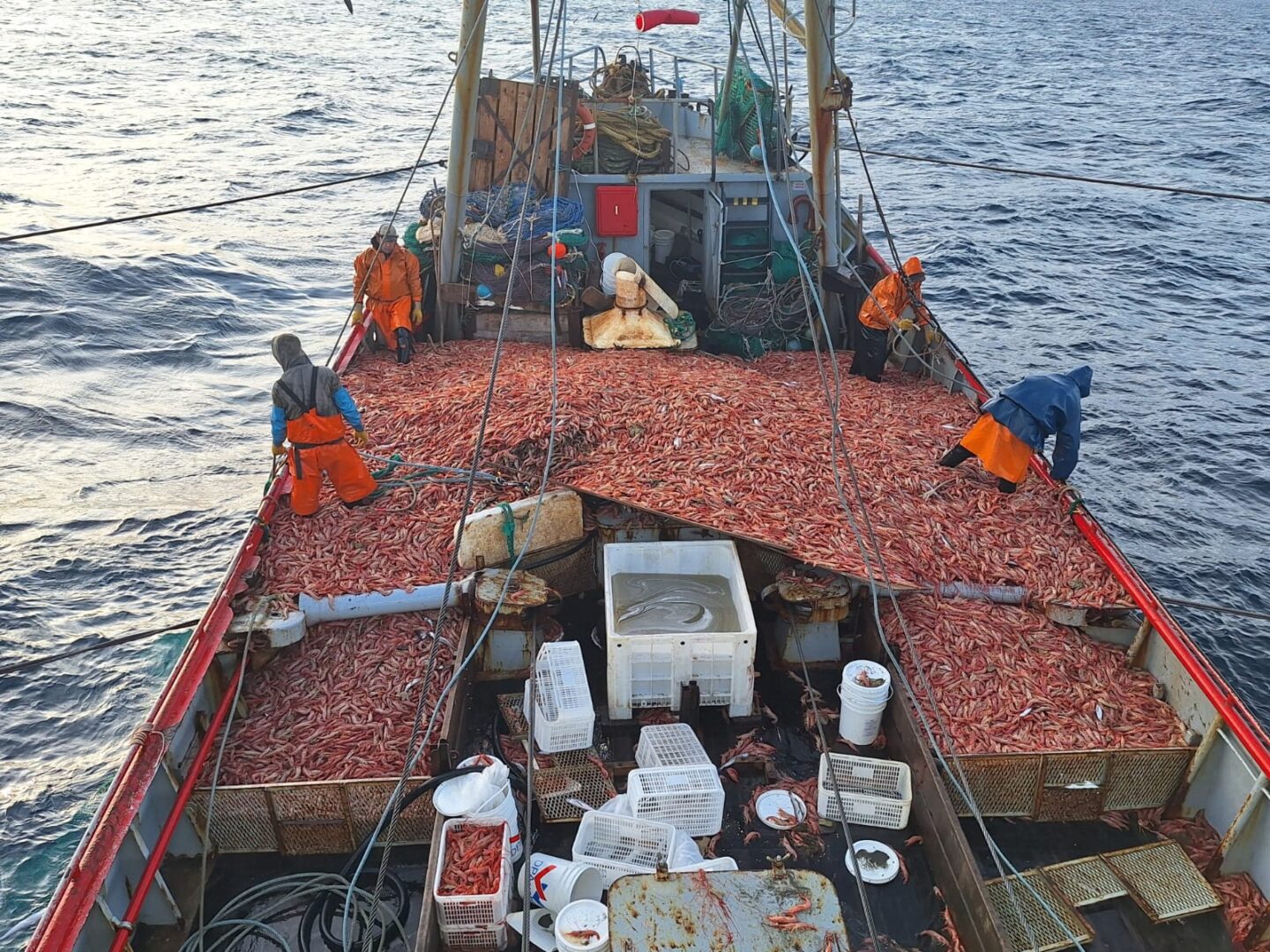 A partir de la reciente firma de SOMU MDP /SIMAPE y Bs.As pesca el  ministerio pone primera y comienza a homologar acuerdos 70/30 -  DEPROA.com.ar Noticias Portuarias